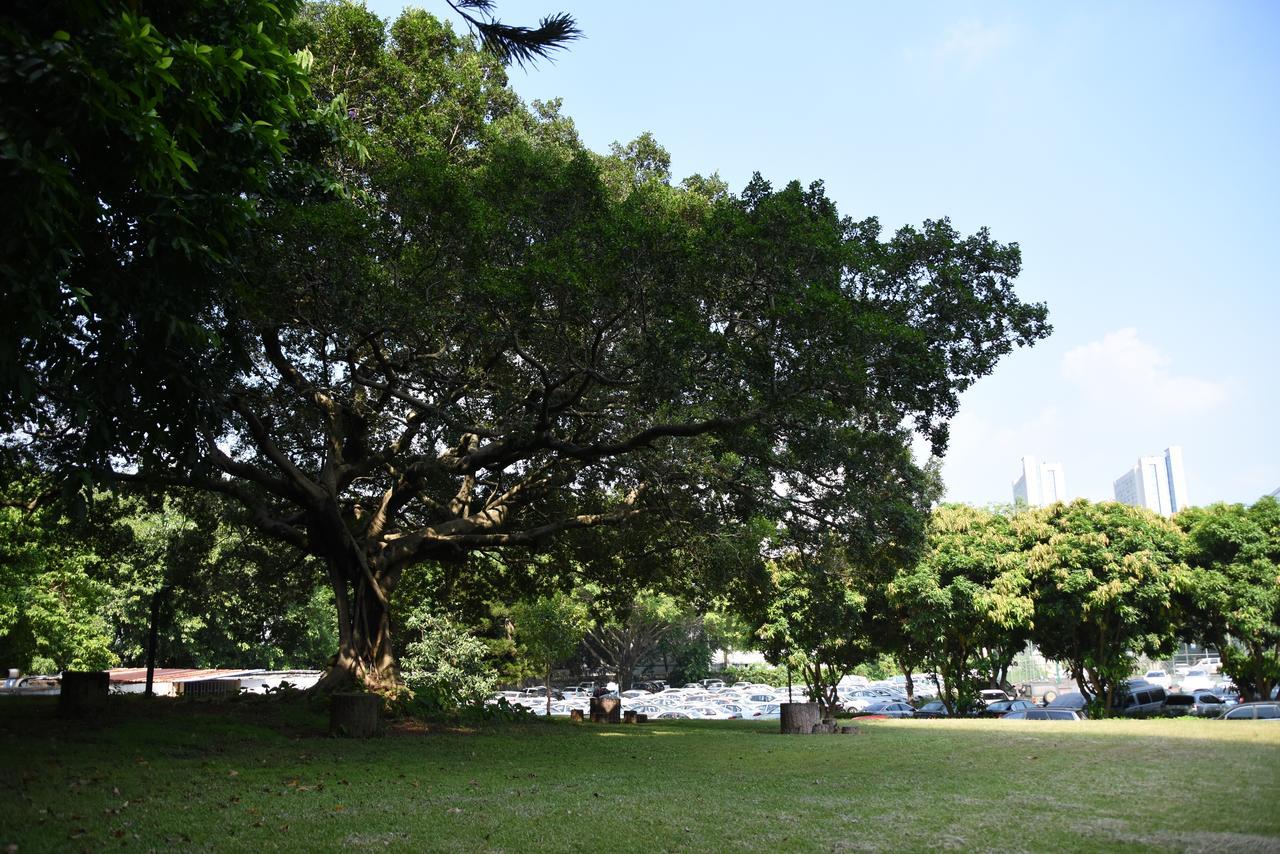 Beilingju Hotel Shenzhen Dış mekan fotoğraf